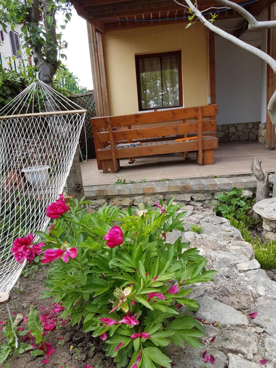 Casa Nikita Hotel Vama Veche Ngoại thất bức ảnh